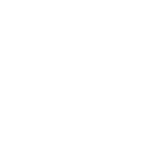 locojoalvuelo.store